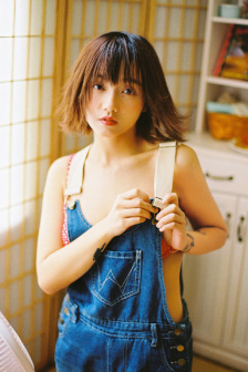 折扇探花